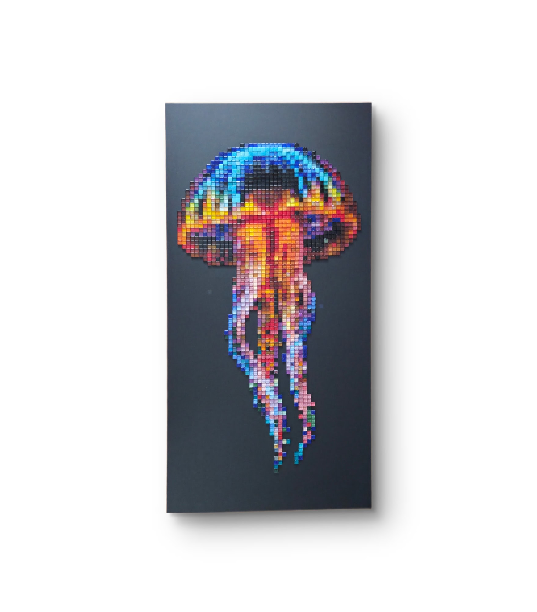 Jellyfish 1
